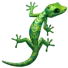 Green Gecko Icon