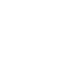 Culture and Leadership Icon